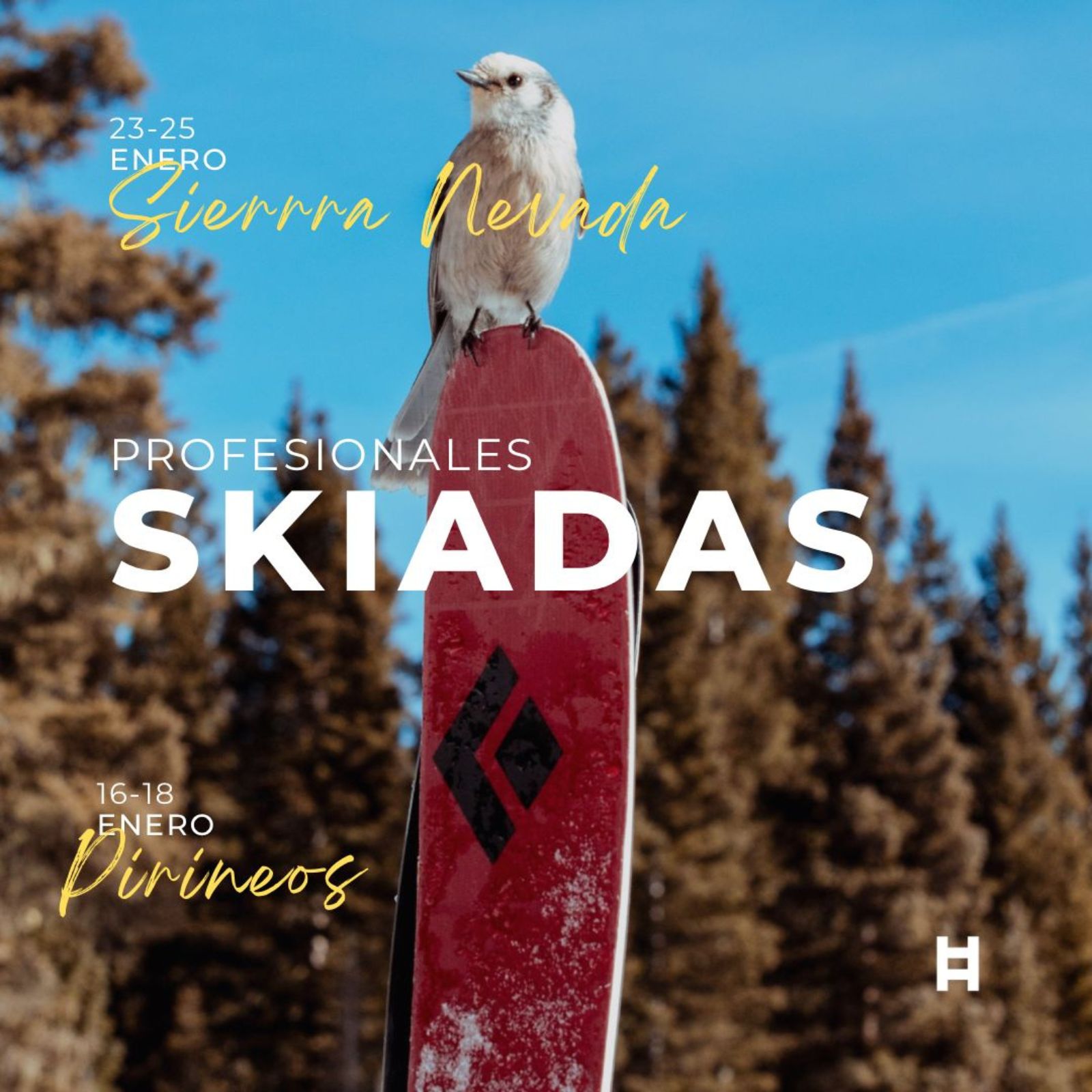 Skiada PRF Pirineos 2026 - Pago Extras (Esquís + Casco)